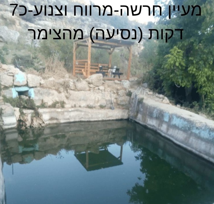 האטרקציות 3
